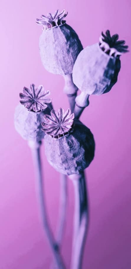 High pitches you hear are confirmations. So Listen up!!