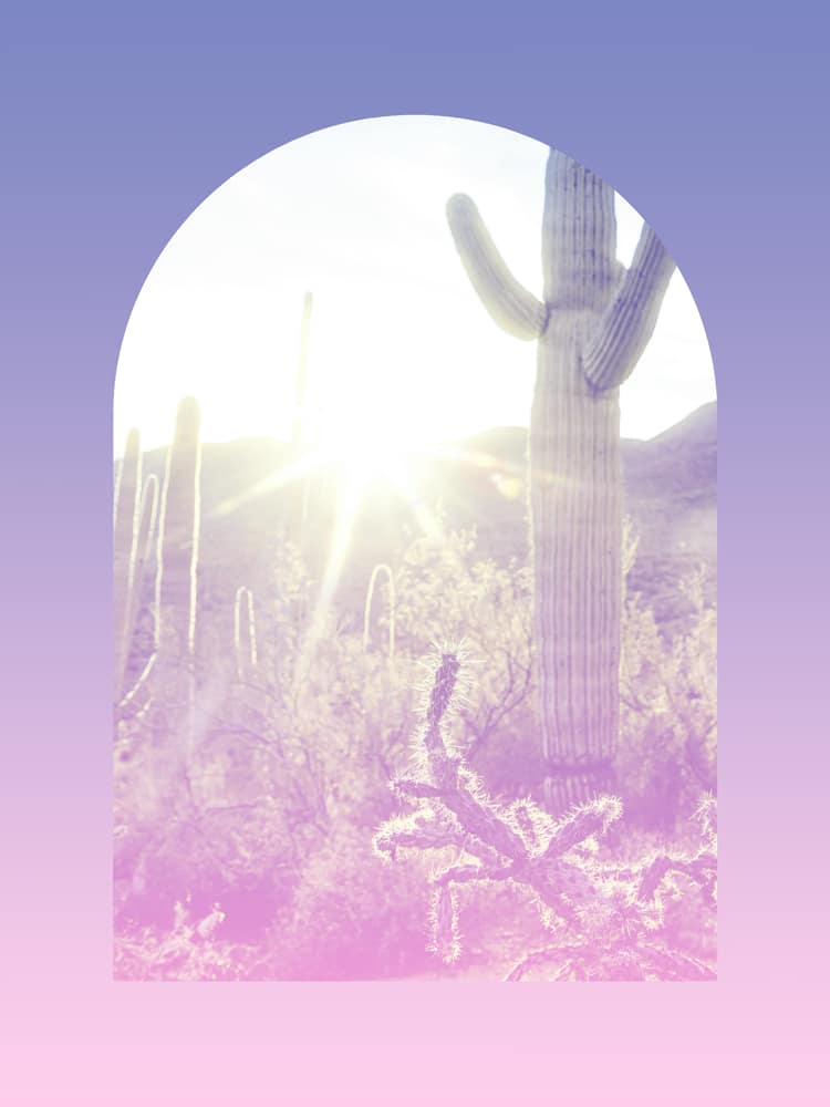 Group of 8 : Session Package (Events + Parties)