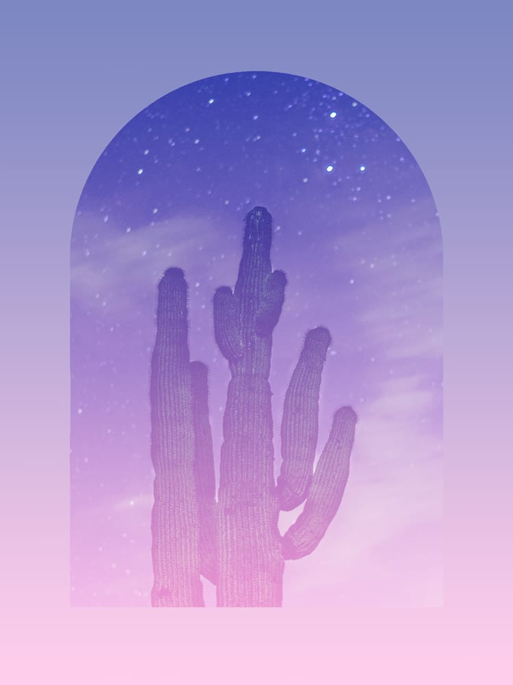 Group of 6 : Session Package (Events +Parties)